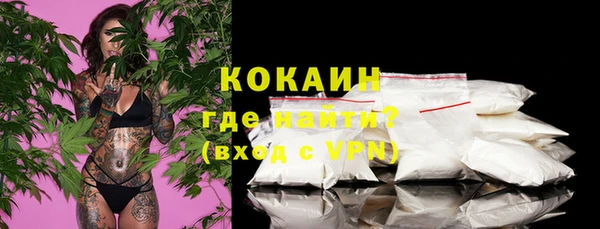 ПСИЛОЦИБИНОВЫЕ ГРИБЫ Пересвет
