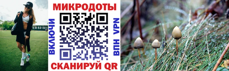 Псилоцибиновые грибы Psilocybine cubensis  MEGA ТОР  Барыш 